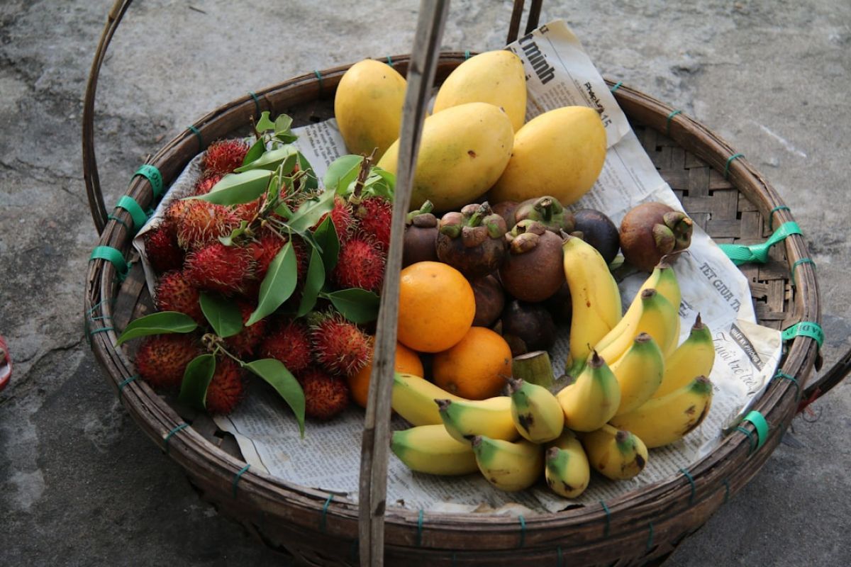 Le fruit miracle pour une santé au top